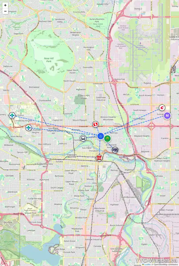Daily accessibility map for 324 9 AV NE, Calgary showing nearby schools, grocery stores, parks, LRT stations and nearby amenities