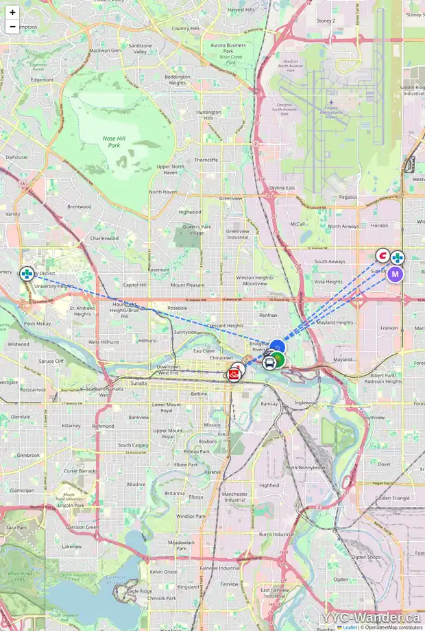 Daily accessibility map for 215 10 ST NE, Calgary showing nearby schools, grocery stores, parks, LRT stations and nearby amenities