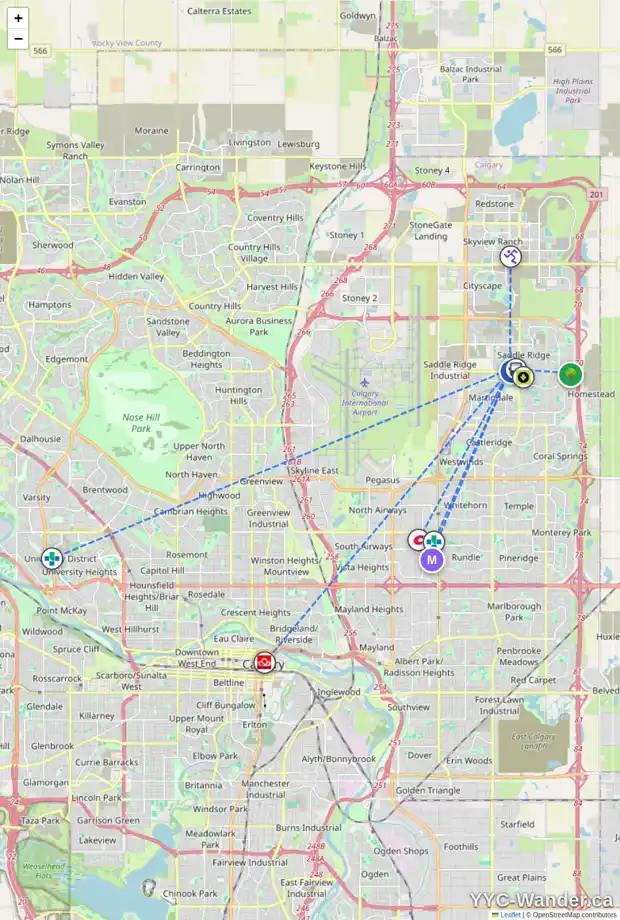 Daily accessibility map for 124 SADDLECREEK TC NE, Calgary showing nearby schools, grocery stores, parks, LRT stations and nearby amenities