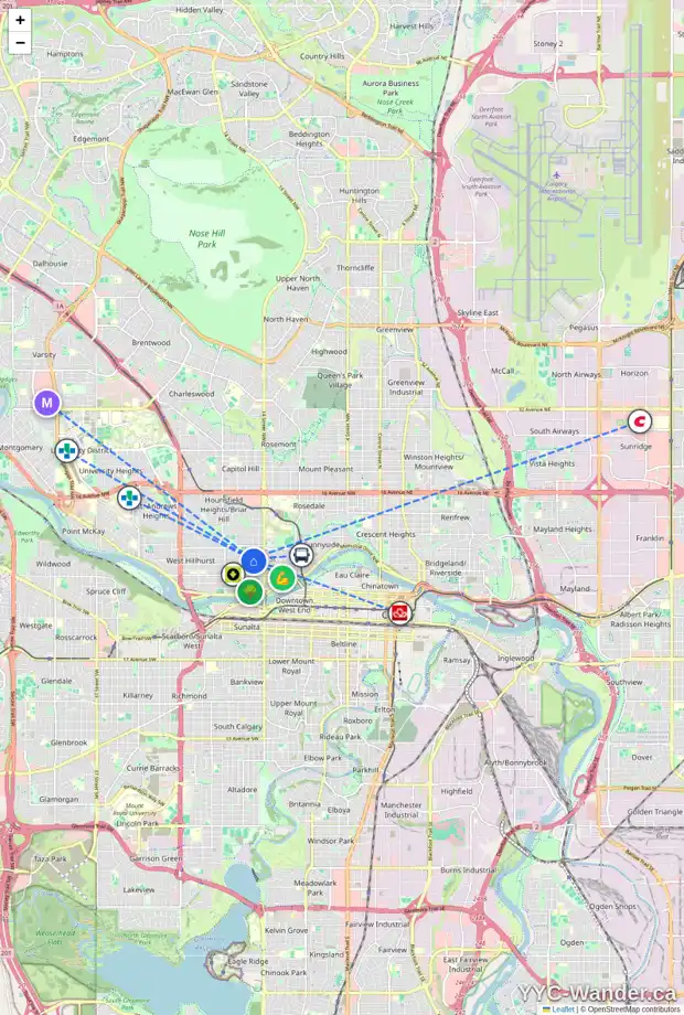 Daily accessibility map for 315 16 ST NW, Calgary showing nearby schools, grocery stores, parks, LRT stations and nearby amenities