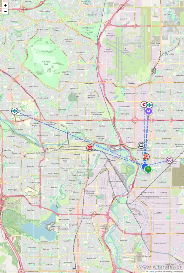 Daily accessibility map for 2438 ELMWOOD DR SE, Calgary showing nearby schools, grocery stores, parks, LRT stations and nearby amenities