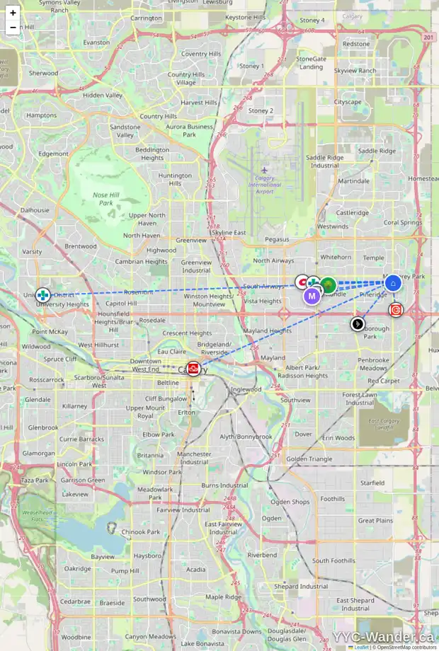 Daily accessibility map for 971 PINECLIFF DR NE, Calgary showing nearby schools, grocery stores, parks, LRT stations and nearby amenities