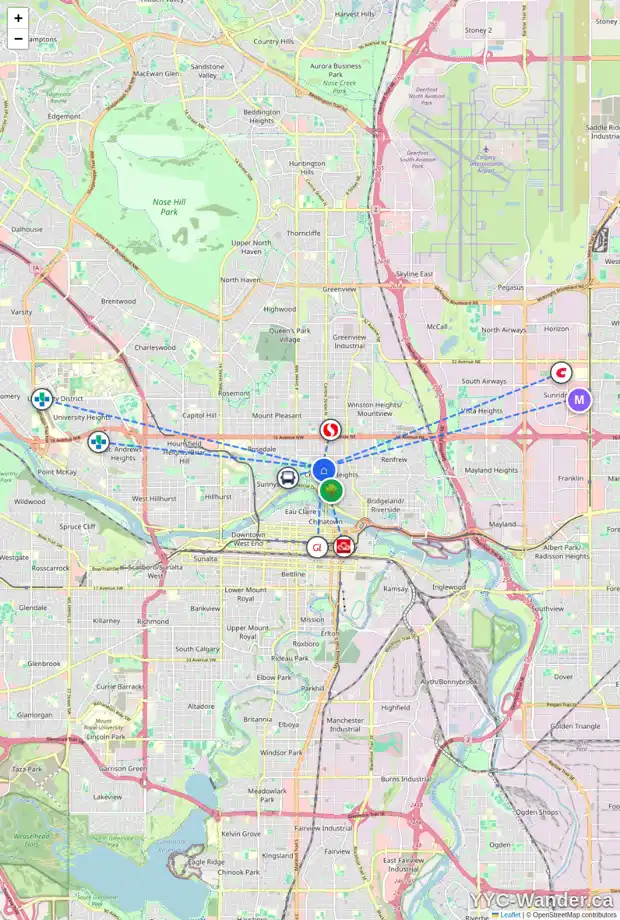 Daily accessibility map for 118 9 AV NW, Calgary showing nearby schools, grocery stores, parks, LRT stations and nearby amenities