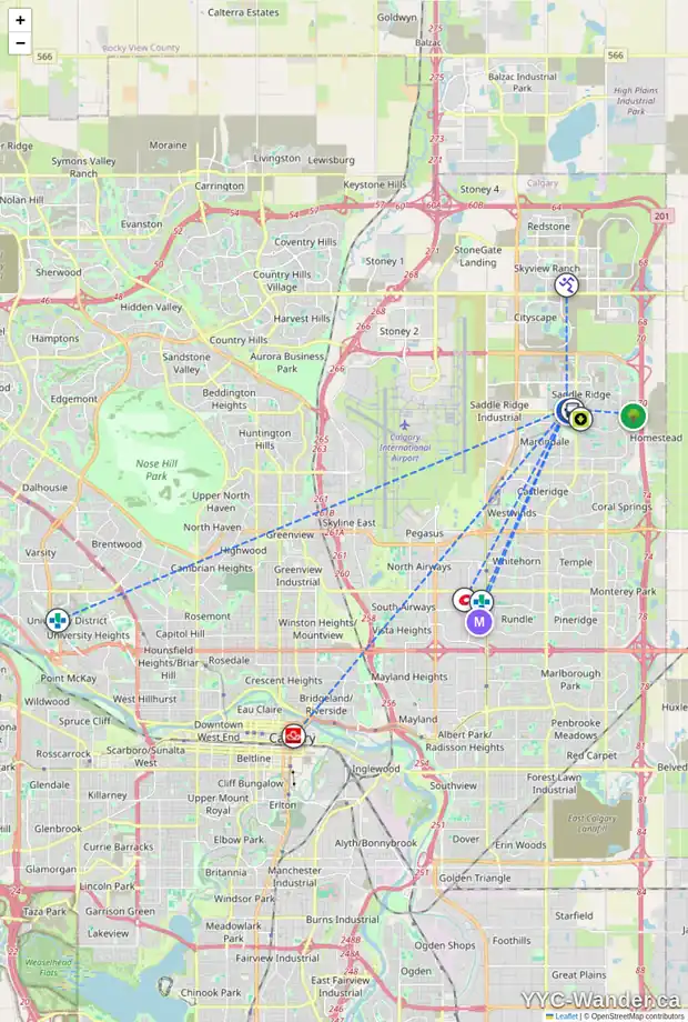 Daily accessibility map for 136 SADDLECREEK TC NE, Calgary showing nearby schools, grocery stores, parks, LRT stations and nearby amenities
