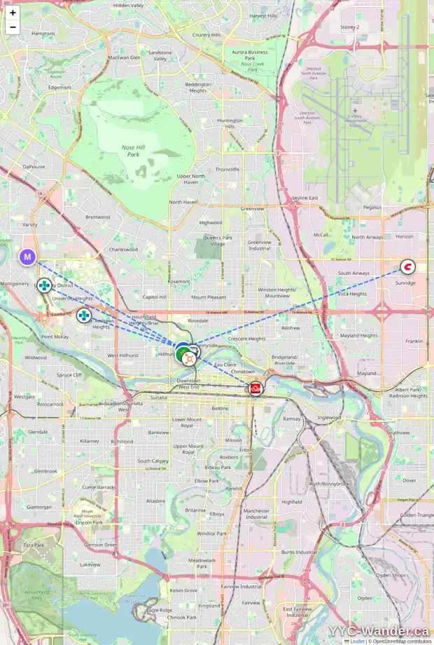 Daily accessibility map for 425 11 ST NW, Calgary showing nearby schools, grocery stores, parks, LRT stations and nearby amenities