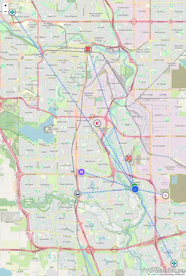 Daily accessibility map for 119 DOUGLAS PARK ME SE, Calgary showing nearby schools, grocery stores, parks, LRT stations and nearby amenities