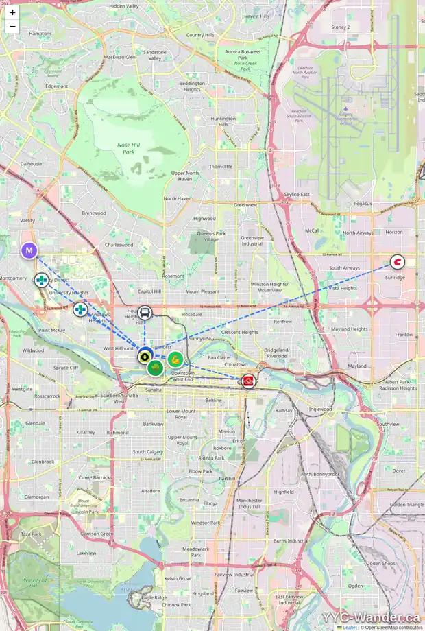 Daily accessibility map for 212 18A ST NW, Calgary showing nearby schools, grocery stores, parks, LRT stations and nearby amenities