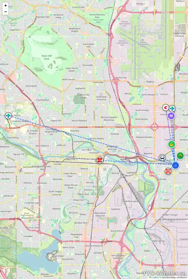 Daily accessibility map for 1128 36 ST SE, Calgary showing nearby schools, grocery stores, parks, LRT stations and nearby amenities