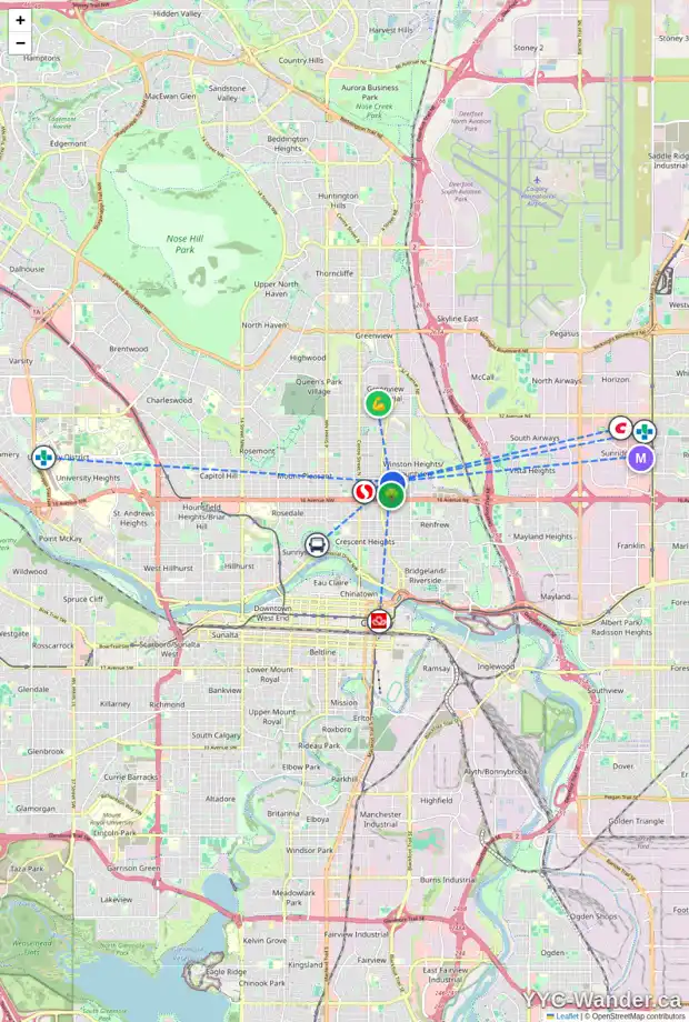 Daily accessibility map for 438 19 AV NE, Calgary showing nearby schools, grocery stores, parks, LRT stations and nearby amenities