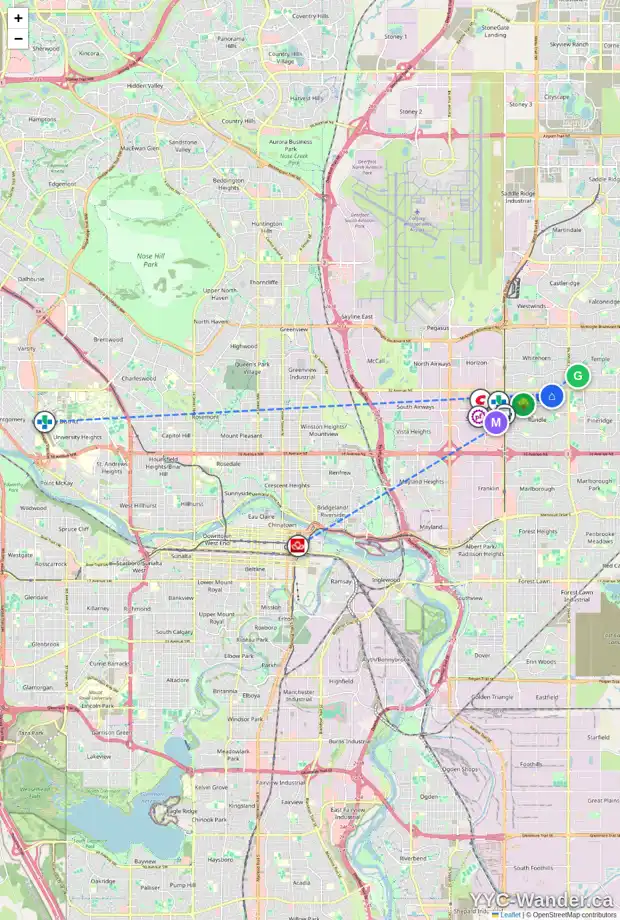 Daily accessibility map for 4728 31 AV NE, Calgary showing nearby schools, grocery stores, parks, LRT stations and nearby amenities