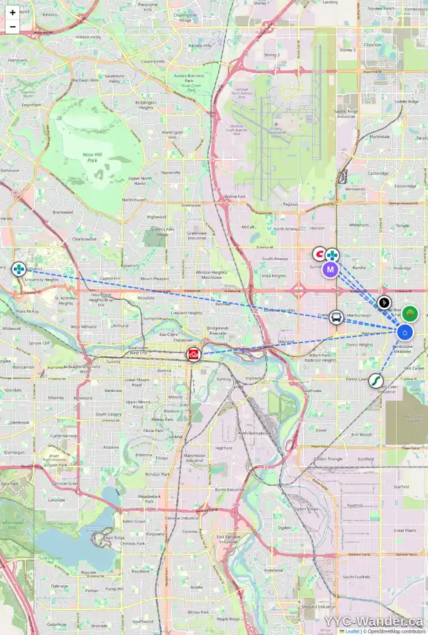 Daily accessibility map for 6008 MADDOCK DR NE, Calgary showing nearby schools, grocery stores, parks, LRT stations and nearby amenities